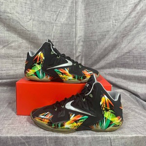 lebron 11 everglades