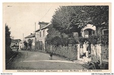 AXBP15-1239-87 - CHATEAUNEUF-LA-FORET - Avenue sainte marie - Hotel des voyage