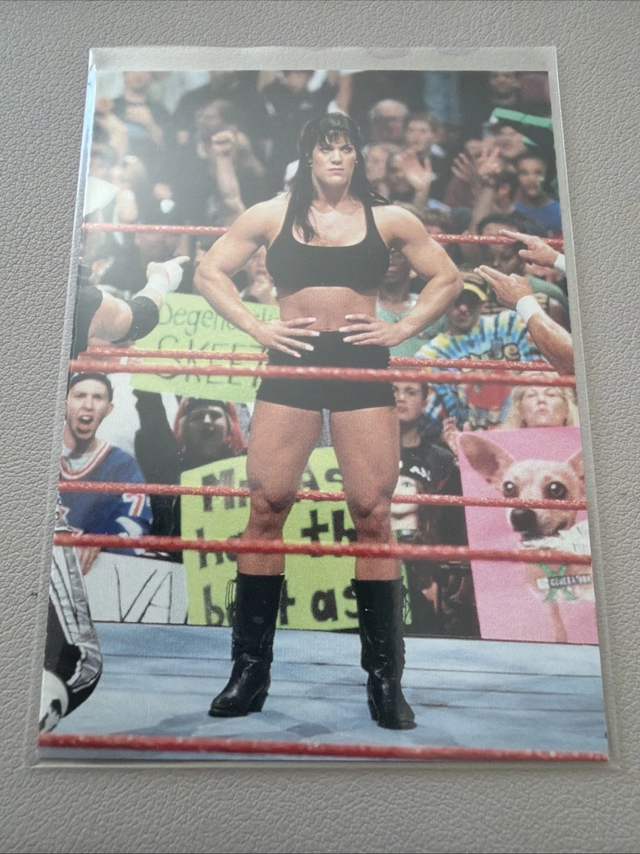 Carte De Collection BBM 1998 - Légende The Giant (Stars Legend Re) - Japon - Occasion