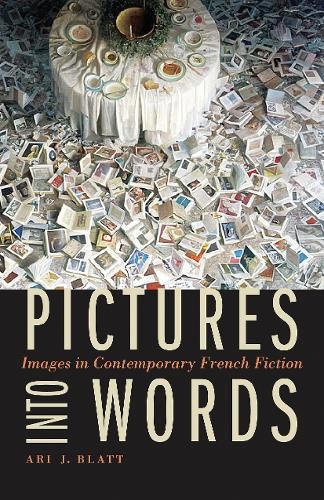 Pictures into Words – Images in Contemporary French Fiction Blatt Hardback
