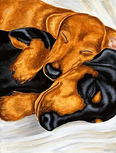 Dachshund Puppy Dog - 5D Diamond Painting 