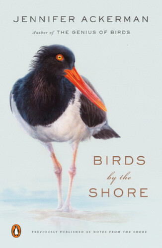 Thumbnail - Birds By The Shore: Observing The Natural Life Of The Atlantic Coast