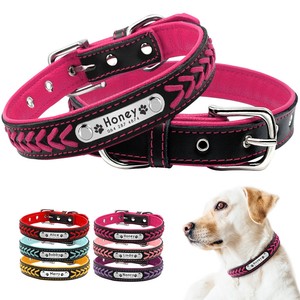 dog door double glazed glass