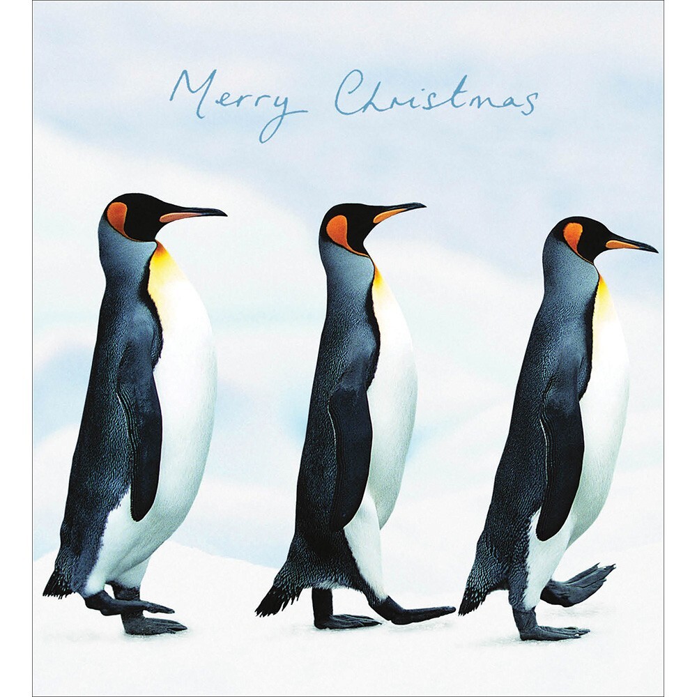 5 Woodmansterne Penguin Patrol Christmas Cards - Charity UK Made Xmas Cards