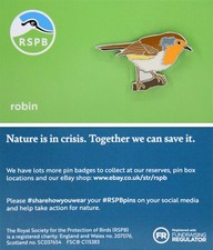 RSPB Pin Badge NIIC Robin P02988