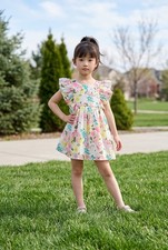 Cat  Jack Girls Floral Sparkle Dress Size 3T  EUC