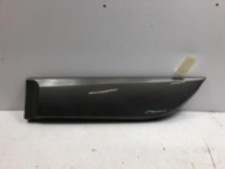 Baguette de porte Renault SCENIC