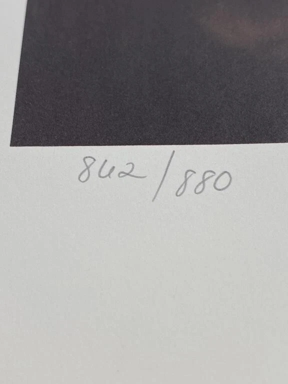 Donald Zolan Hojas de Otoño S/N 862/880 Preciosa Rubia Niña Foto 4 de 4