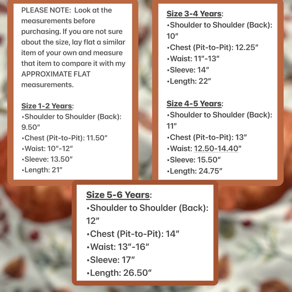 Vestido Niñas Otoño Otoño Acción de Gracias 4-5Y COLECCIÓN VIAJEROS Foto 4 de 4