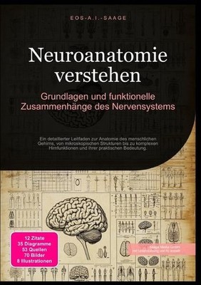 Neuroanatomie verstehen: Grundlagen und funktionelle Zusammenhänge des Nervensys