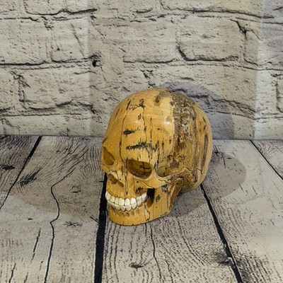 12 cm x 12 cm realistischer menschlicher Schädel Tamarinde Holz Replik beweglicher Kiefer Skelett Kopf