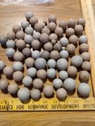 Indian Marbles/Hotshots? — photo 3