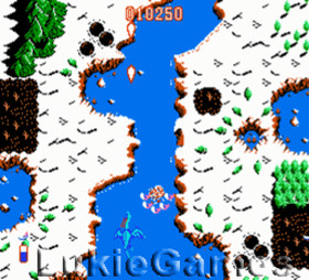 Dragon Spirit - Fun Classic NES Nintendo Game