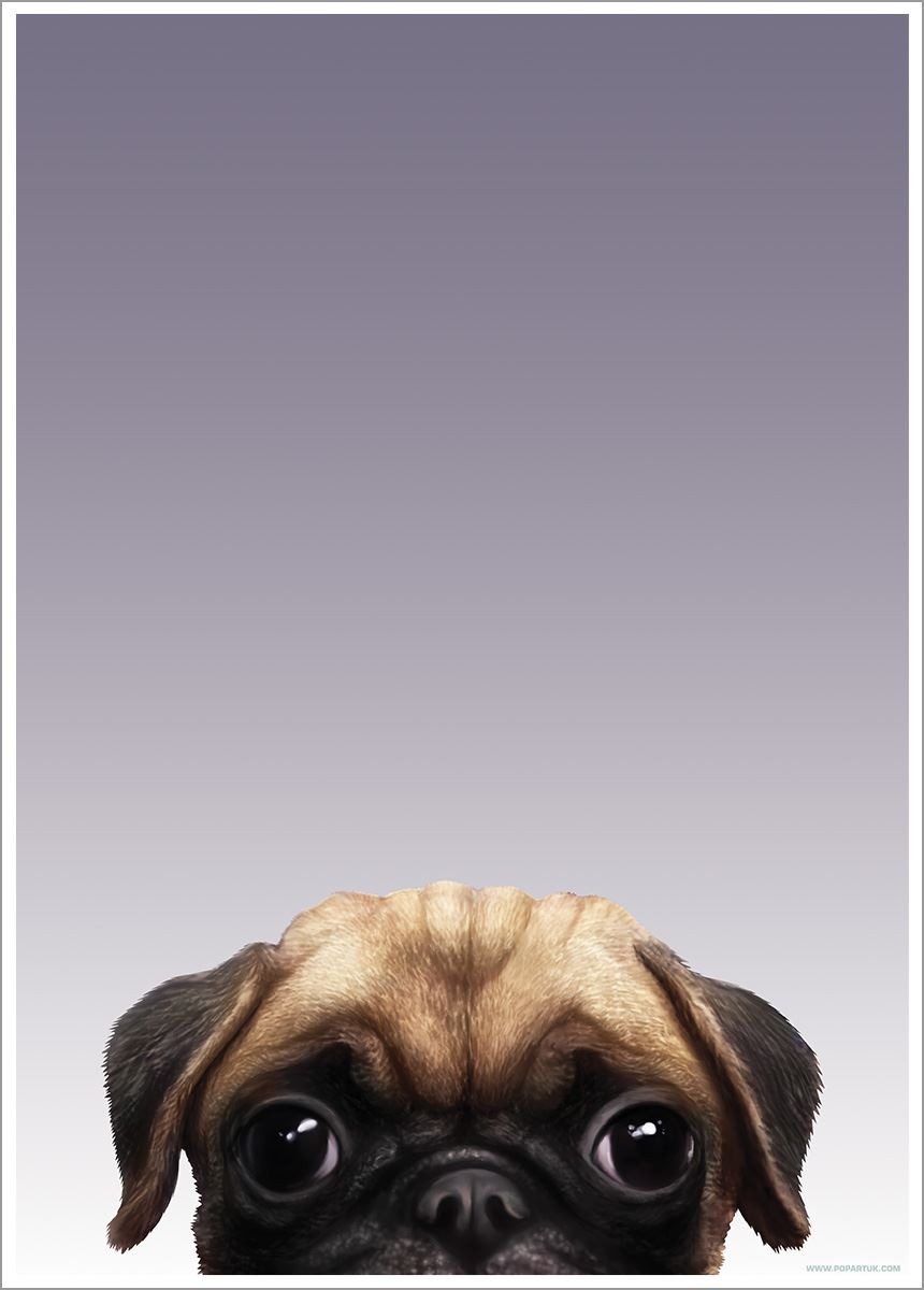 Inquisitive Creatures Pug Mini Poster