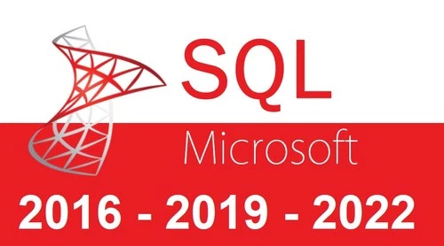 Microsoft SQL Server 2016 2019 2022 Standard w CALs DVD + License Pack