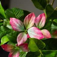 Image of 82-144cm Artificial Ficus Tree Realistic Faux Plant Large Indoor Home Decor Tall
