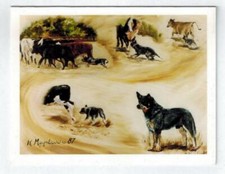 Australian Cattle Chasing Animals 12 Blank Note Cards Birthdays Thank You Hello