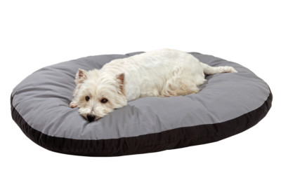 Hundekissen Karlie  Hundebett Kissen oval 60 cm x 50 cm x 8 cm | eBay.de