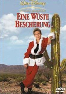 Eine wüste Bescherung von Arlene Sanford | DVD | Zustand gut