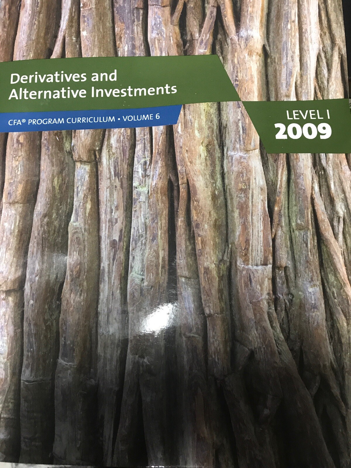 Derivatives and Alternative Investments: Level 1 2009 (CFA Program... by CFA-image
