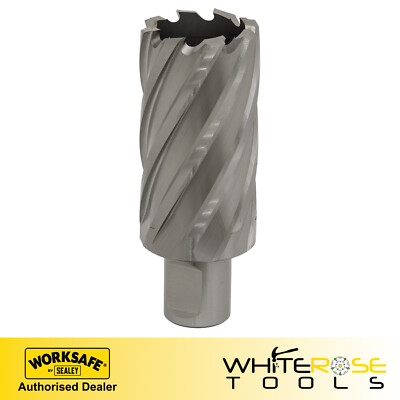 Sealey Rotabor Cutter HSS Ø33mm - Schnitttiefe 50mm Worksafe Elektrowerkzeuge Bohrereinsatz