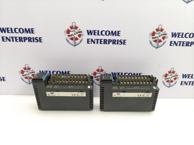 AUTOMATION DIRECT D4-16NE3 Diskretes Eingangsmodul [MENGE 2 STÜCK], / SCHNELL...