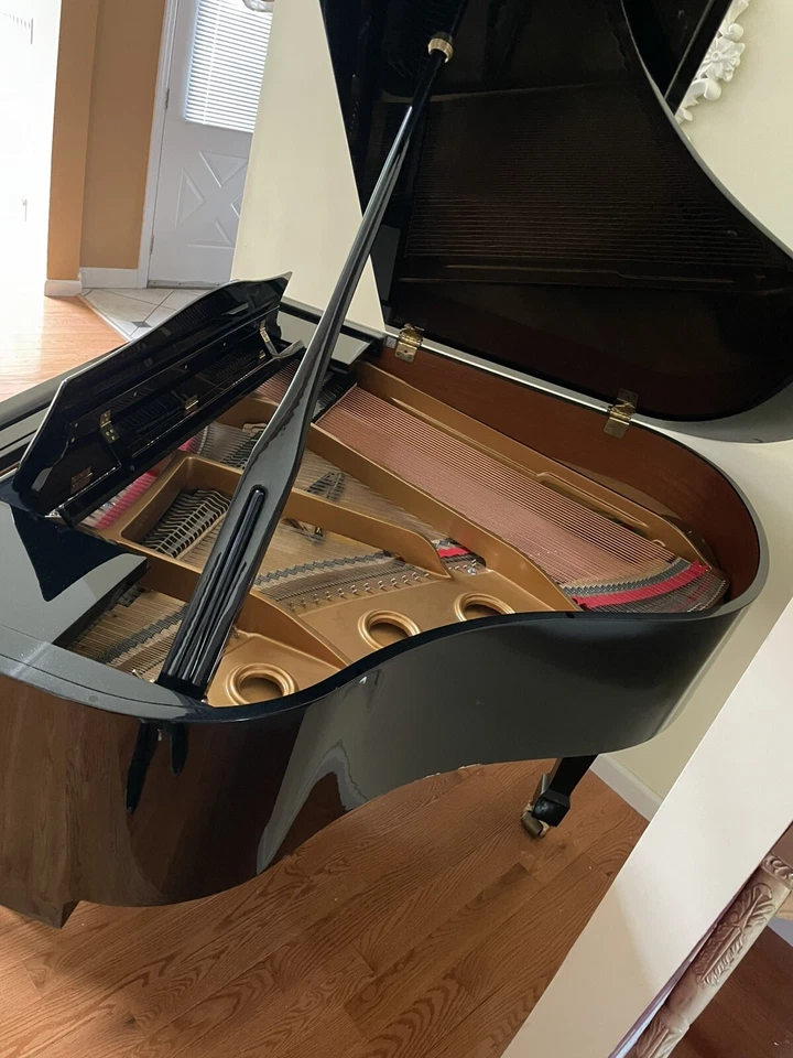 Piano de cola Samick SG-150 bebé 4'11" ébano pulido Foto 3 de 3