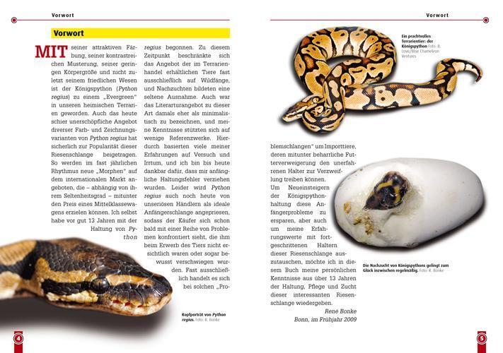 Thumbnail - Königspython | Python Regius | René Bonke | Taschenbuch | Art Für Art