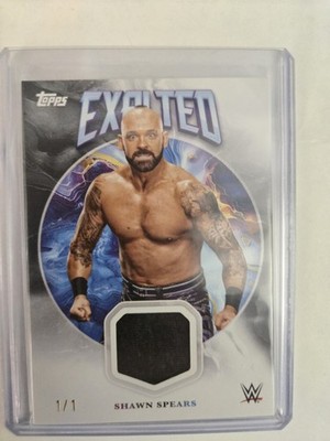 2025 Wwe Exalted Shawn Spears 1/1 Patch