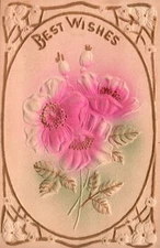 Vintage Postcard Best Wishes Embossed Sunflower With Glittered Border Wish Card