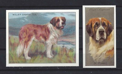 1915 - 1940 UK Reissue Reproduction Dog Art Cigarette Card 2 SAINT BERNARD DOG