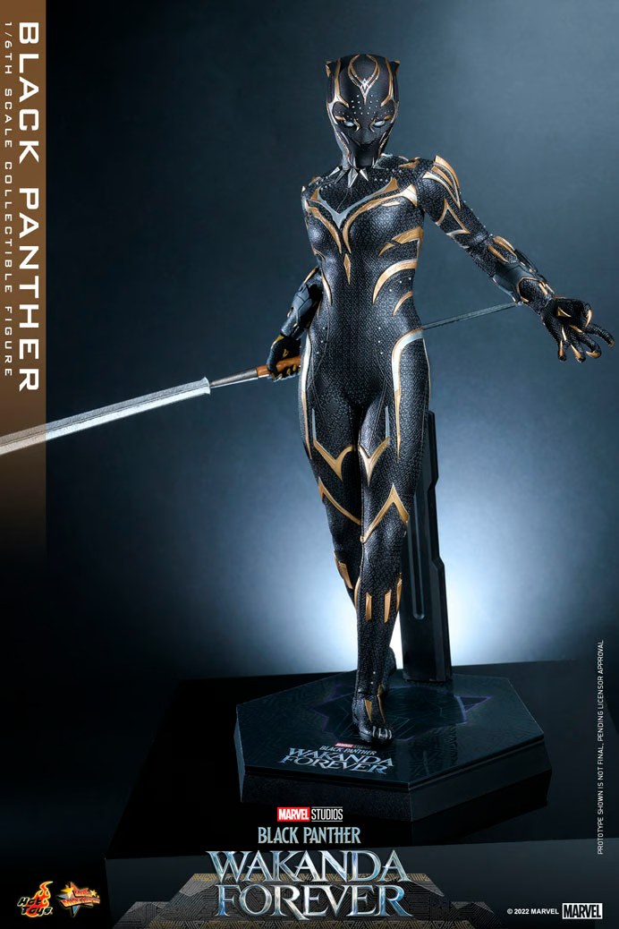 海外限定　all about black panthers 海外限定 all about black panthers Black Panther Facts, What