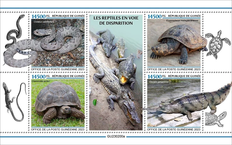 Endangered Reptiles Turtle Snake MNH Stamps 2023 Guinea M/S - Image 1 of 1