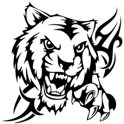 GROß Auto Motorhaube Seitenaufkleber Tiger Stamm Flammen Vinyl Grafik Decal Wandbild