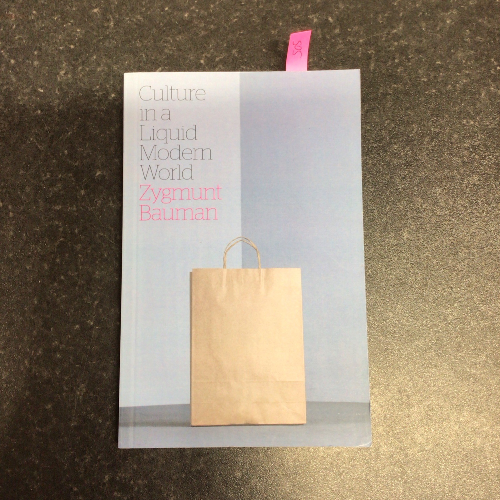 Culture in a Liquid Modern World by Zygmunt Bauman (Paperback, 2011)