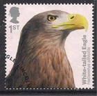 GB 2019 QE2 1st Birds of Prey ' White Tailed Eagle ' Ex Fdc SG 4200 ( D684 )