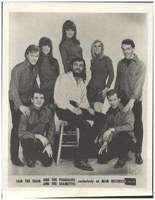 C756/ Sam and the Sham and the Pharaohs US-Popband Pressefoto ca.1968