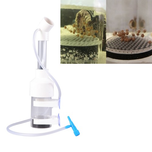 25 X5cm Fish Incubator Eggs Tumbler Tumblers for Fry Aquarium eBay