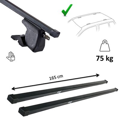 Dachträger Stahl für Citroen Dispatch 2007-2015 (Befestigungspunkte)