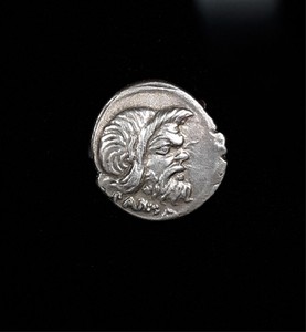 Roman Republic 48BC Vibius/Pansa AR Denarius