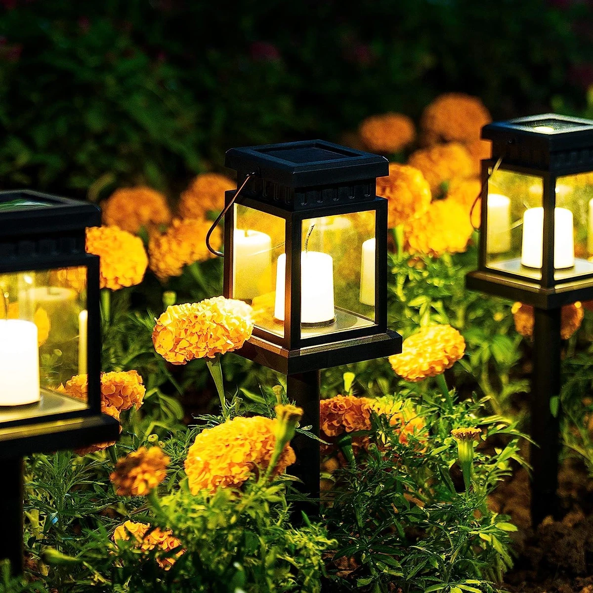 Hanging solar pathway lights online
