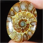 (23 X 32 X 06 MM) 43.65 Carat. NATURAL AMMONITE FOSSIL OVAL CABOCHON GEMSTONE