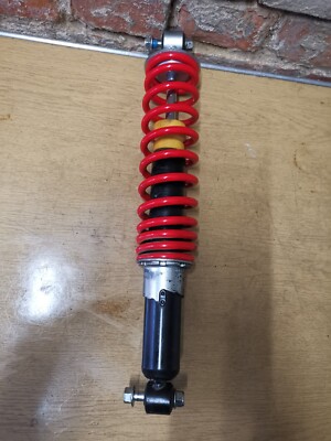 Dinli DL 801 270 / 300 ORIGINAL Stoßdämpfer Vorn Front Federung Feder Dämpfer
