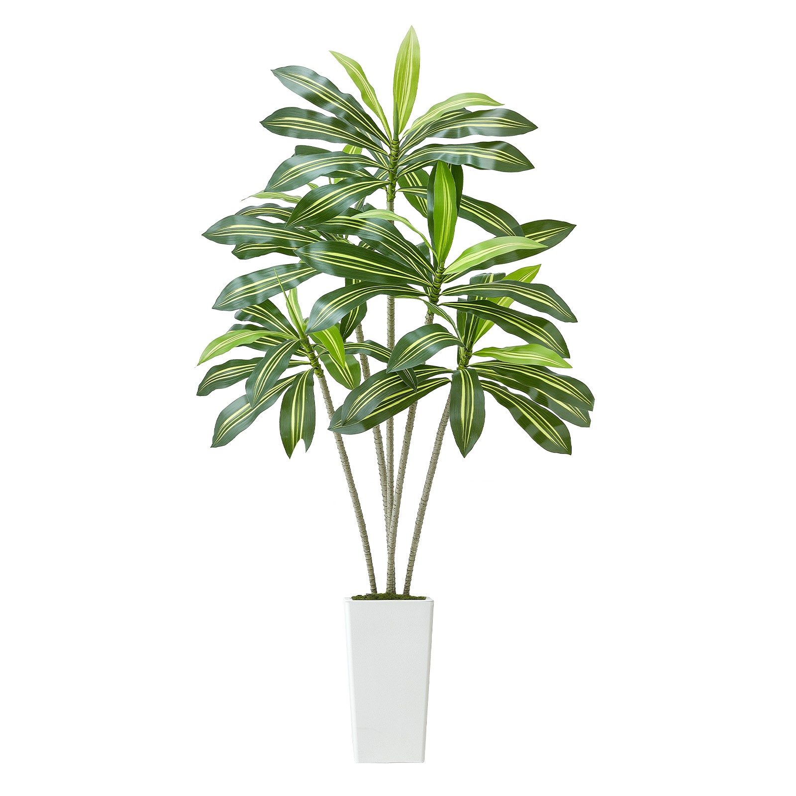 Uimoso 6ft Artificial Dracaena Tree in Pot Indoor Home Decor Faux Fake Plant