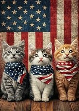 4th of July Cat Diamond Art Kits 11.8 x 15.7 inches, Blessings 250 Years
