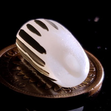 FLAWLESS Opalescent White Millefiori Cane Multi Real Davenport Beach Sea Glass