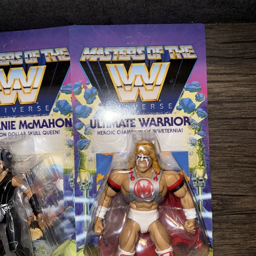 Mattel Masters of The WWE Universe Lot 8 Action Figuren Walmart Exclusive - Bild 6 von 23