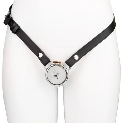 Negative Inverted Chastity Cage With Metal tube CB Lock Cage Adult Men Pleasure - Picture 16 of 25