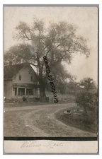 RPPC Willows Rest Pastoral Country Scene Lady by Big Tree Real Photo Postcard