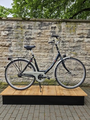 Rabeneick Special Edition Vital Tiefeinsteigerfahrrad